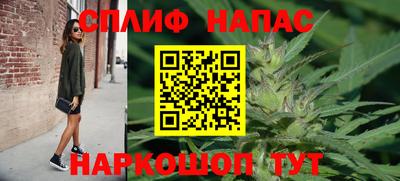 амф Дубна