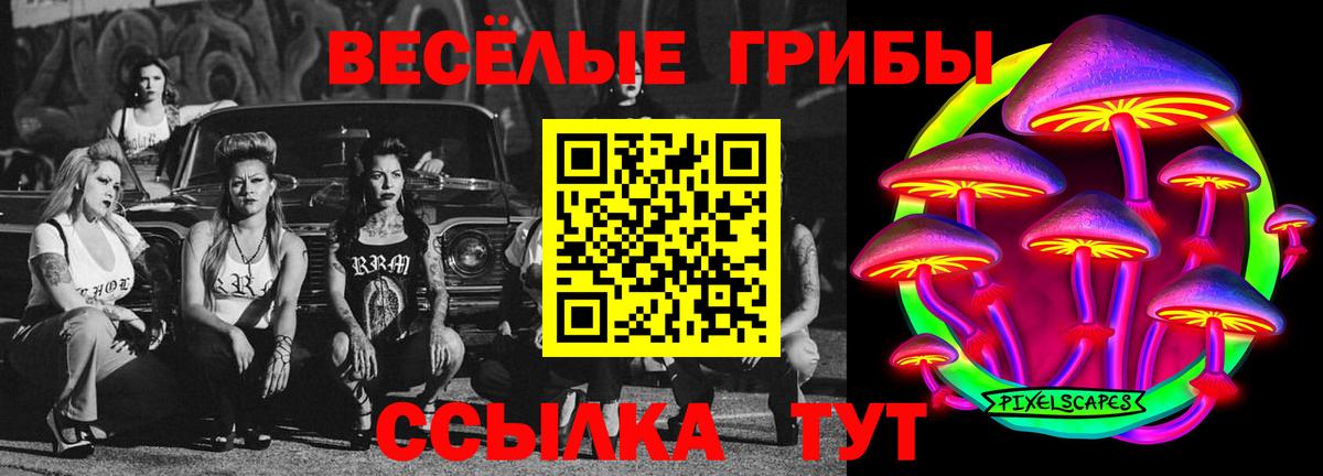 Набережные Челны  Псилоцибиновые грибы Psilocybe  Вход с VPN 