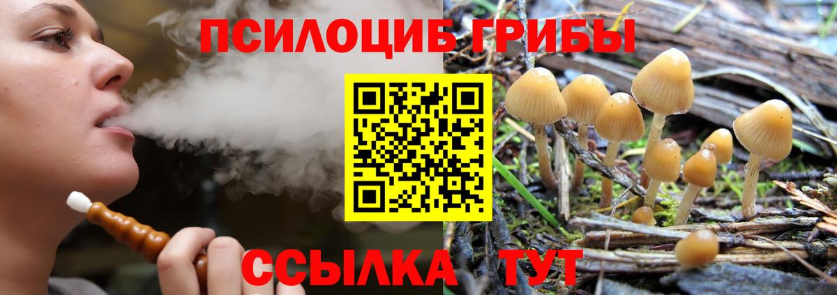Галлюциногенные грибы Psilocybine cubensis Набережные Челны